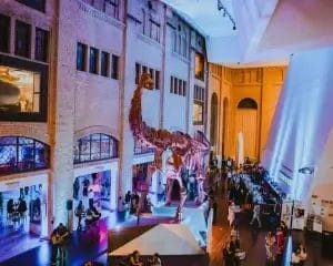 Əyalətlər üzrə yanvarın 15-dək pulsuz xidmət göstərən muzeylərin siyahısı